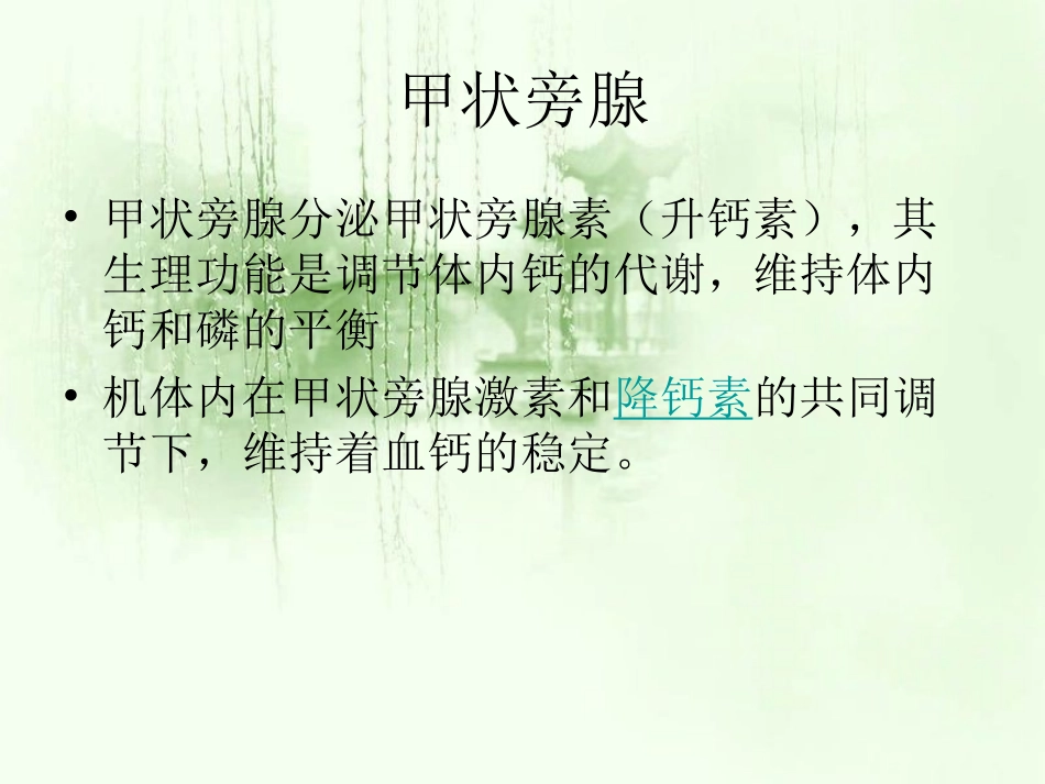 原发性甲状旁腺功能亢进_第2页