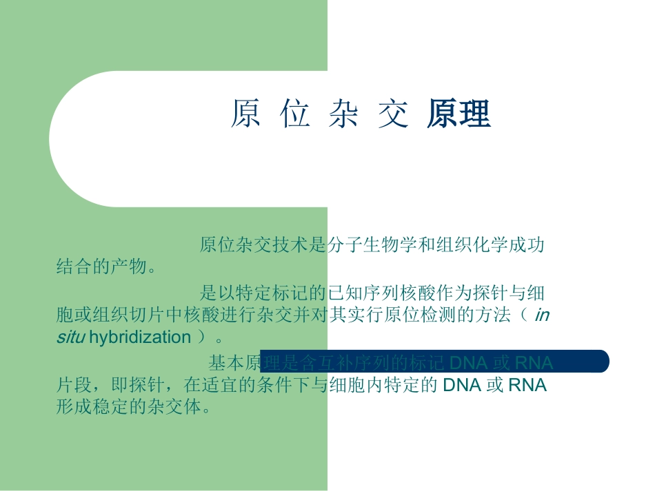 原位杂交原理剖析_第1页