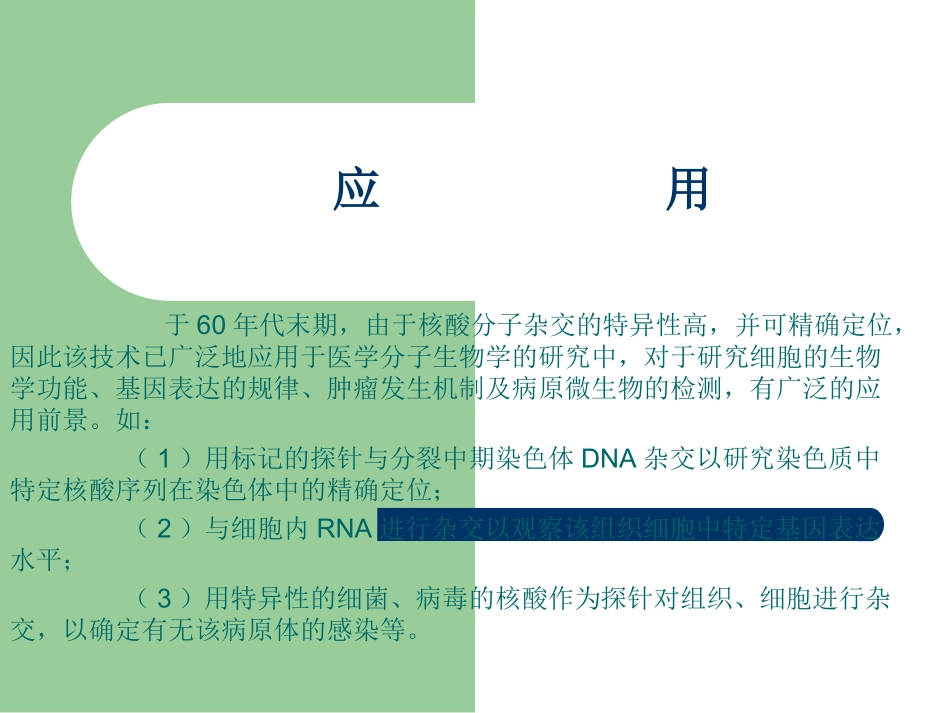 原位杂交原理剖析_第2页