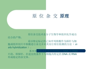 原位杂交原理剖析