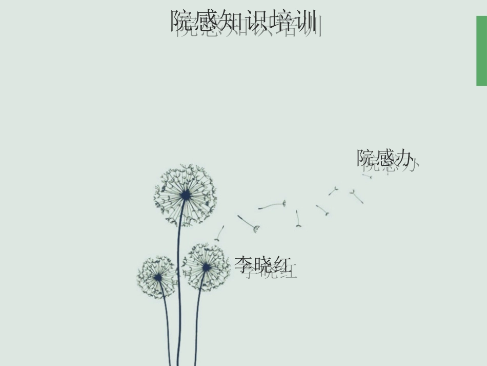 院感知识培训幻灯片_第1页