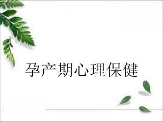 孕产期心理保健
