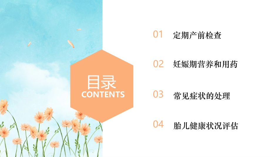 孕妇学校孕期常见病护理及产前检查_第2页