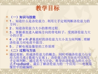 运动电荷在磁场中的运动