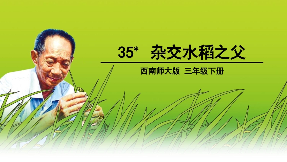 杂交水稻之父_第1页