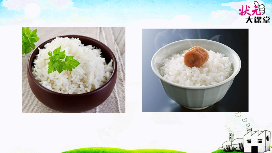 杂交水稻之父_第2页