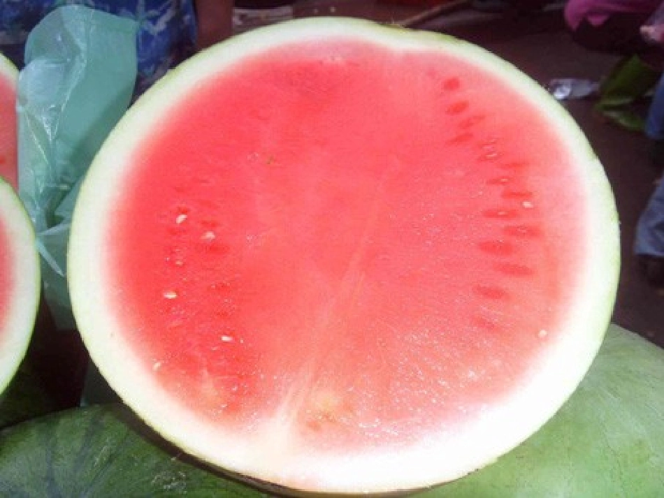 杂交育种和单倍体育种以及多倍体育种_第2页