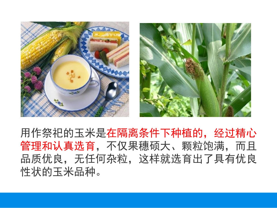 杂交育种和诱变育种_第2页