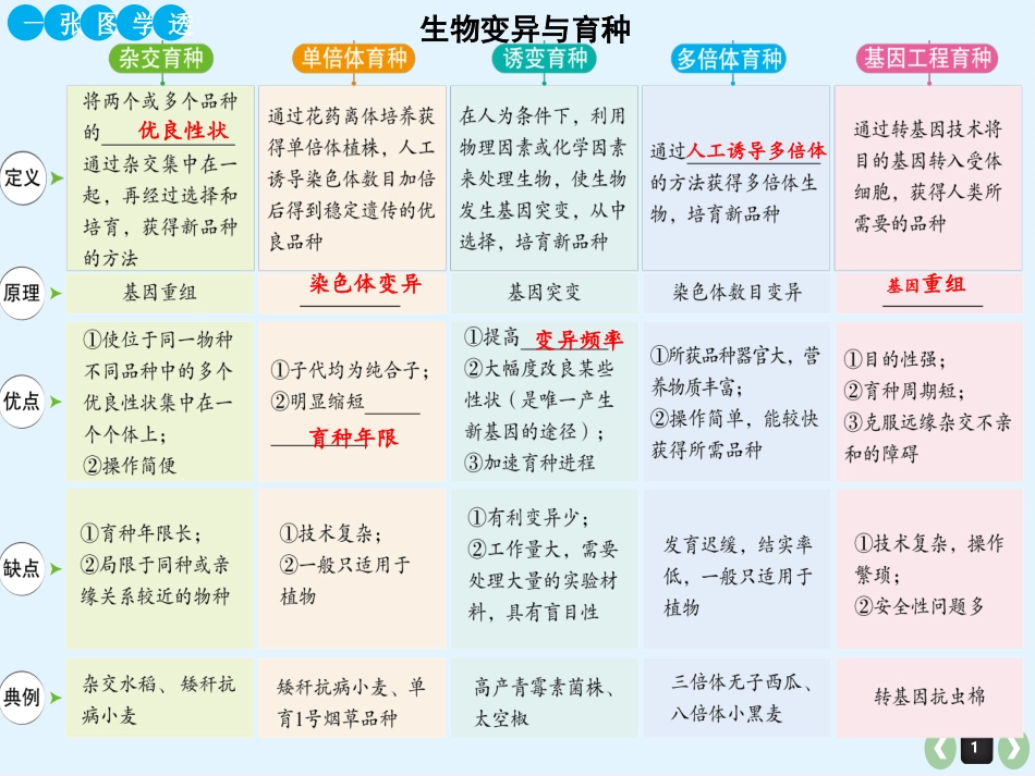 杂交育种与诱变育种_第1页