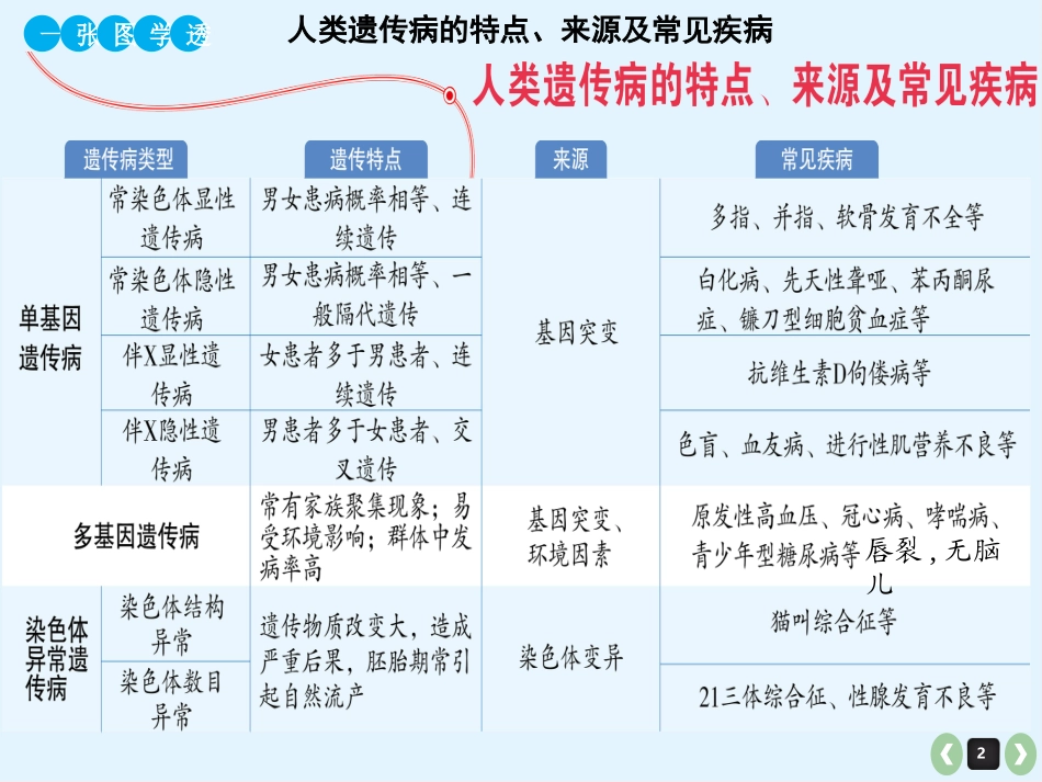 杂交育种与诱变育种_第2页