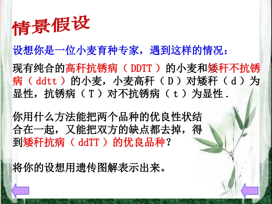 杂交育种与诱变育种较好_第3页