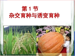 杂交育种与诱变育种较好
