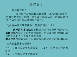 杂交制种技术