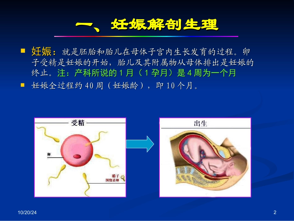 早孕的的超声诊断_第2页