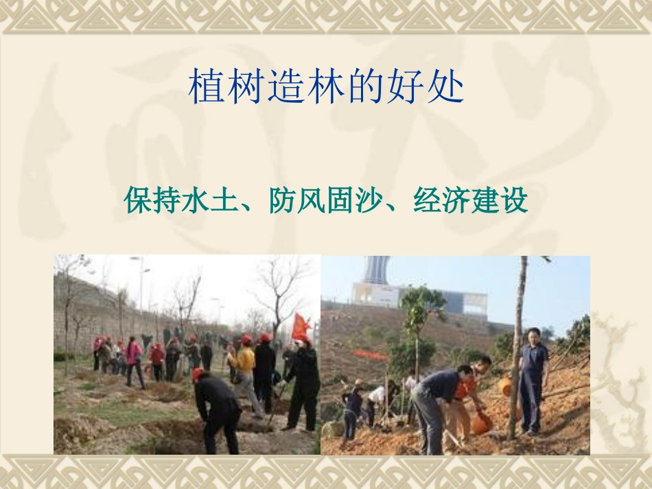 造林绿化专题培训课件_第3页