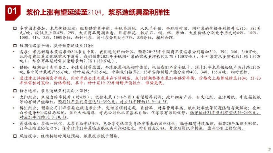 造纸行业纸浆专题研究报告_第2页