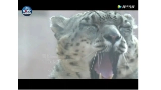 长江经济带发展战略