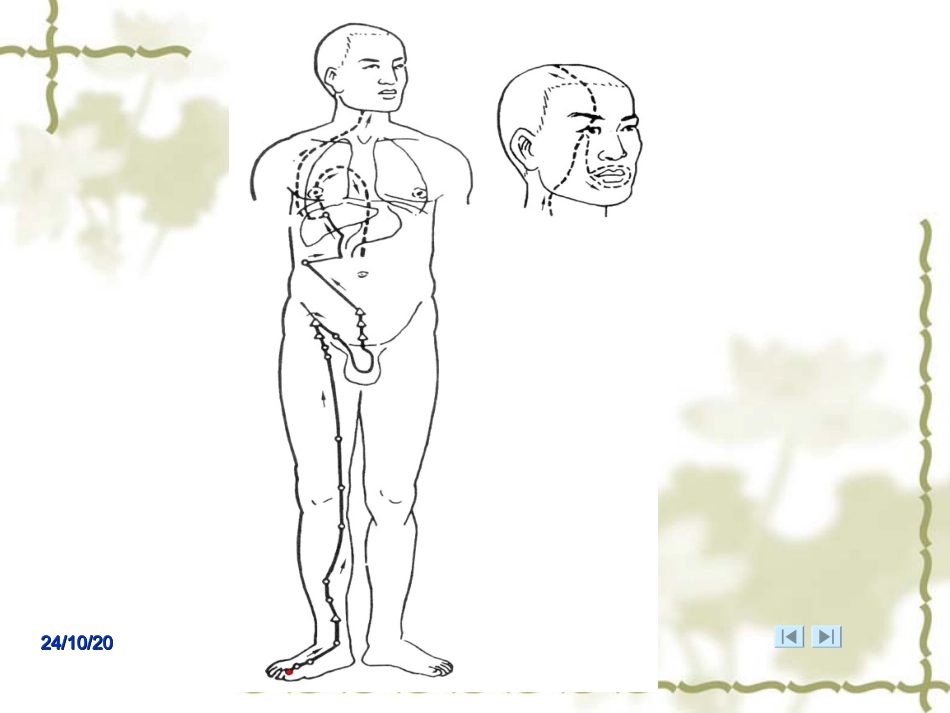 针灸学课件足三阴经足厥阴肝经_第3页