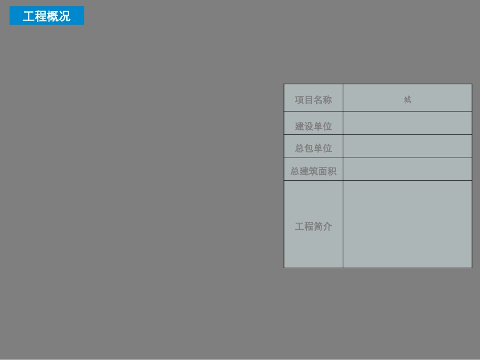 真石漆施工工艺方案专题培训课件_第1页
