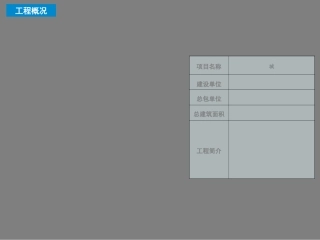 真石漆施工工艺方案专题培训课件