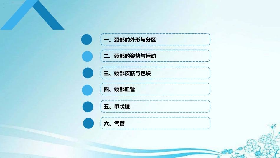 诊疗学颈部检查_第2页