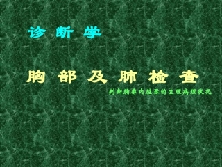 诊疗学胸部及肺检查