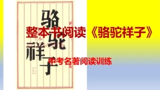 整本书阅读骆驼祥子中考阅读真题