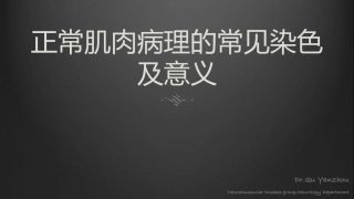 正常肌肉及常见肌病的病理学表现