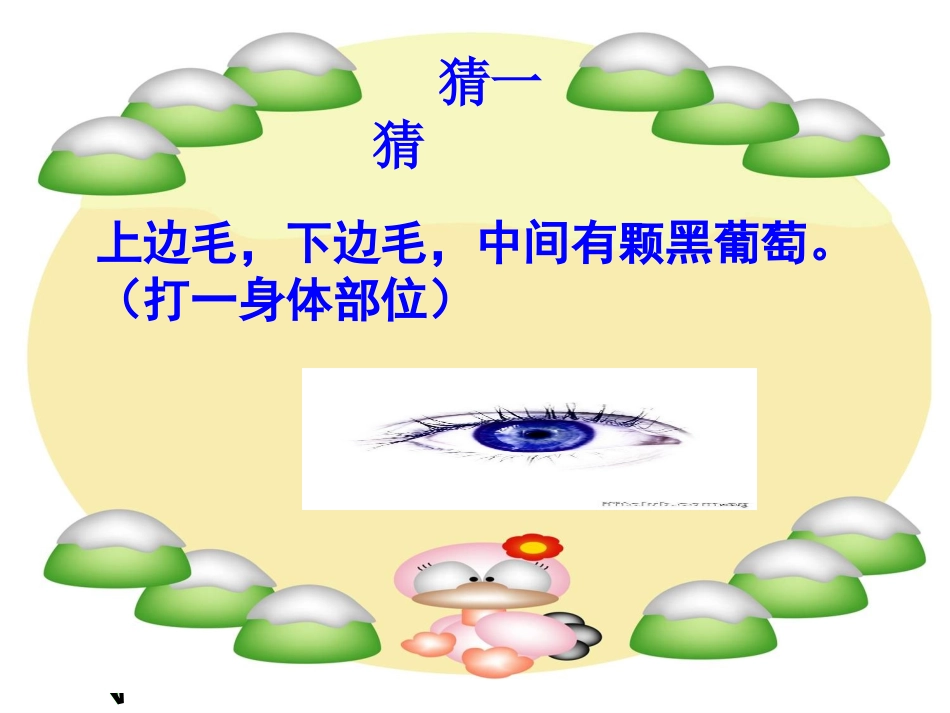 正确认识我们的身体器官_第1页