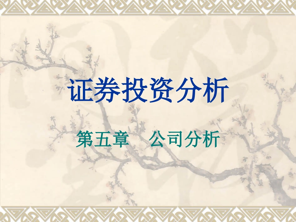 证券投资分析公司分析报告_第1页