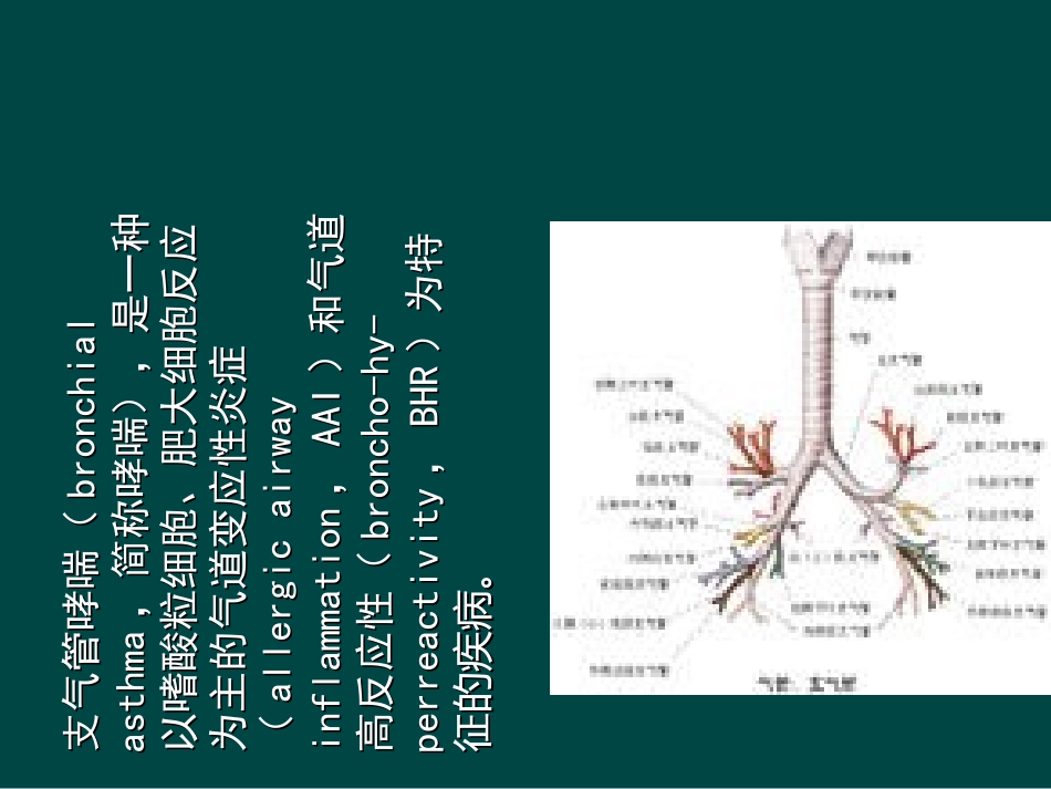 支气管哮喘护理查房课件_第2页
