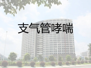 支气管哮喘基层指南
