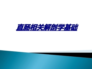 直肠相关解剖学基础讲义