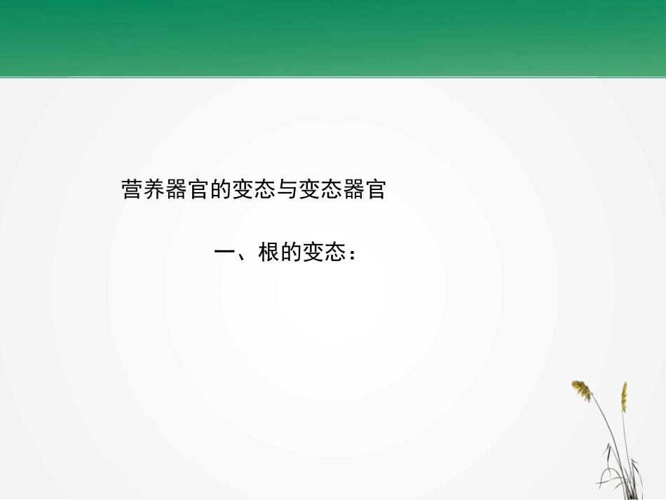 植物的营养器官变态_第2页