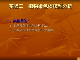 植物染色体核型分析