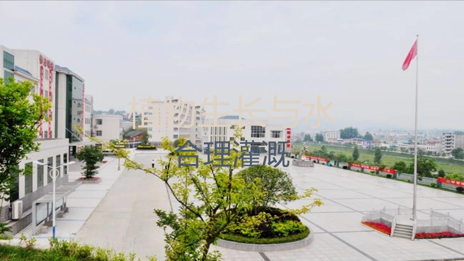 植物生长与水_第1页