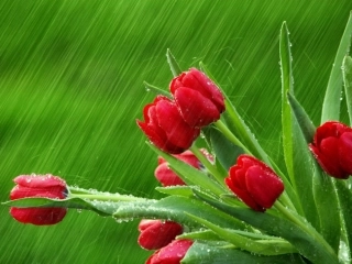 制氧讲座空分主要设备汇总