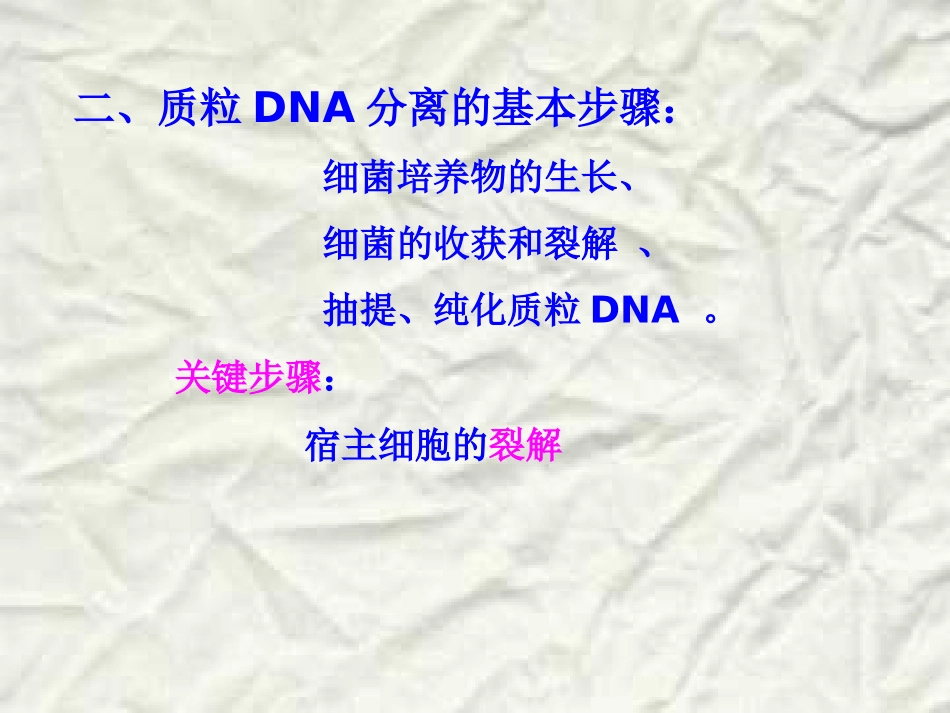 质粒DNA的提取课件_第1页