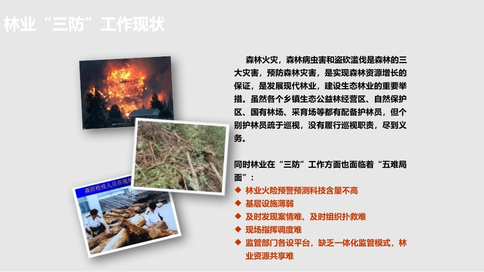 智慧林业三防一体信息化平台解决方案_第3页