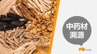 中草药溯源方案