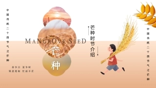 中国二十四节气之芒种时节介绍