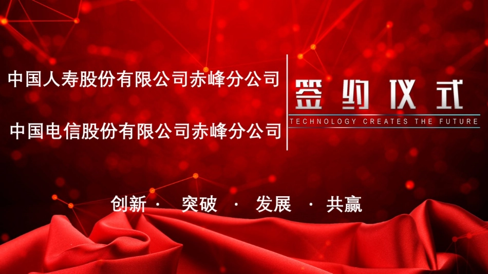 中国人寿战略合作方案_第1页