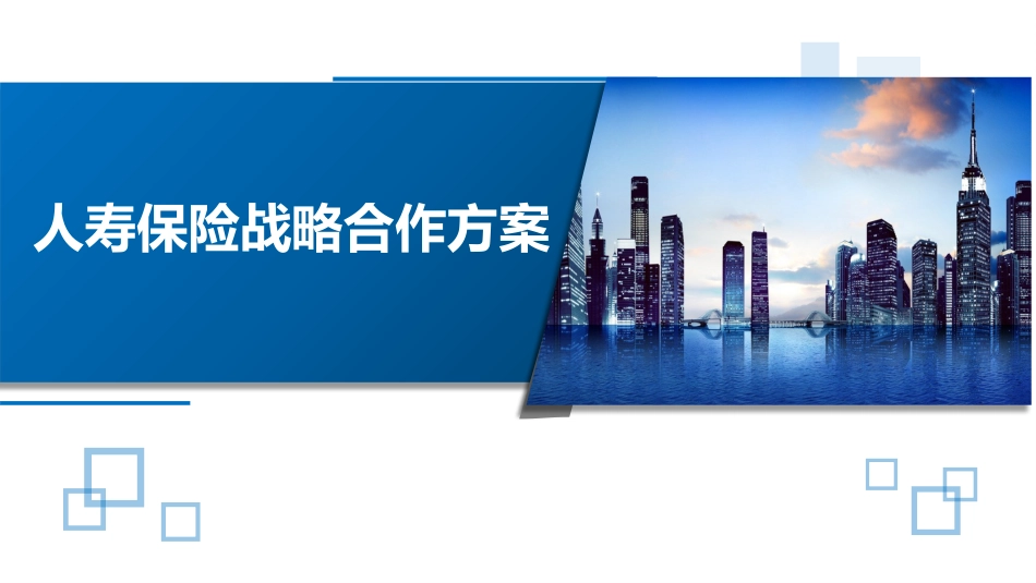 中国人寿战略合作方案_第2页