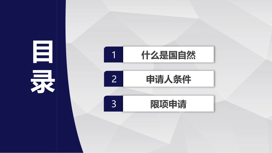 中国自然申请攻略基金标书标书概况_第2页