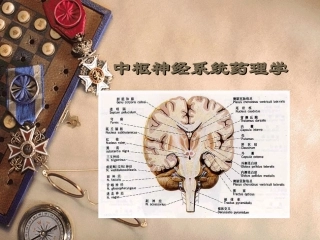 中枢神经系统药理学