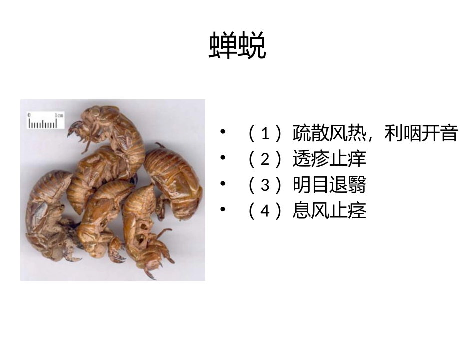 中药饮片总结归纳_第3页