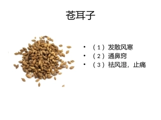 中药饮片总结归纳