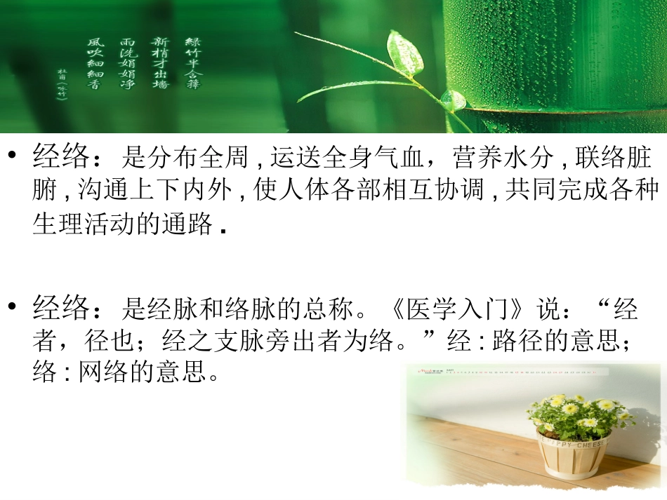 中医经络学专业知识课件_第2页