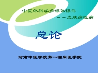 中医外科学多媒体课件皮肤病性病
