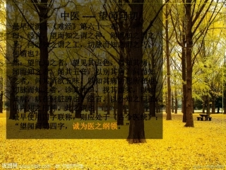 中医望闻问切课件